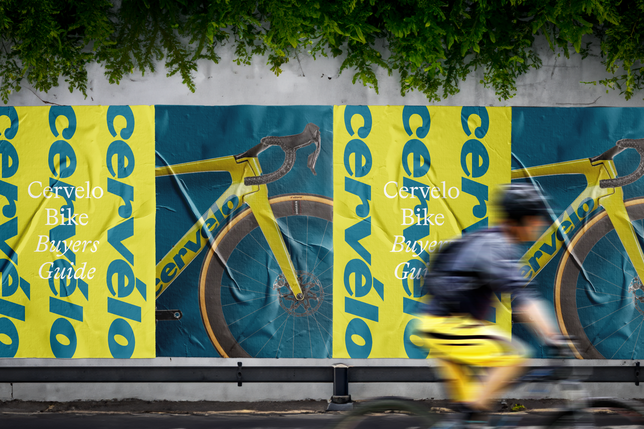 Cervélo Bike Buyer's Guide